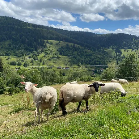 Alpehytte Le Diamant Nathalie Mn La Rouge La Bresse