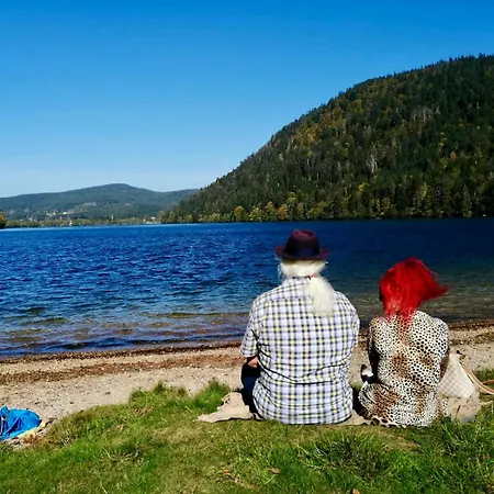 Alpstuga Le Diamant Nathalie Mn La Rouge La Bresse