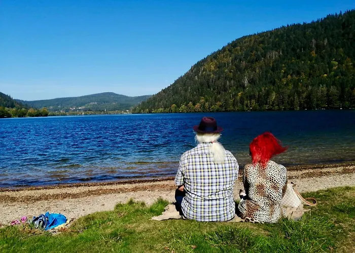 Chalet Le Diamant Nathalie Mn La Rouge La Bresse